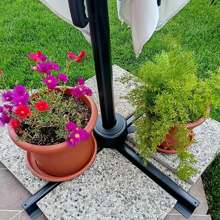 Stella Di Mare - Vista Incantevole Su * Moneglia